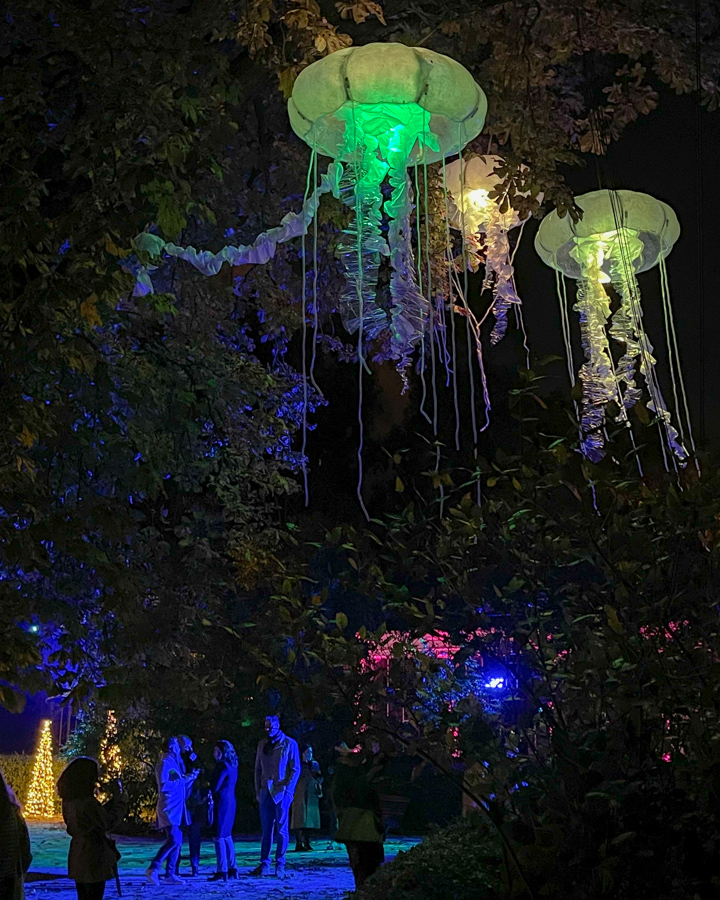 王立植物園 自然の灯